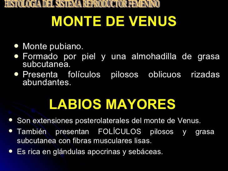 Aparato Reproductor Femenino Aparato Reproductor Femenino