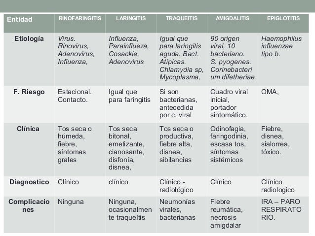 haemophilus influenzae