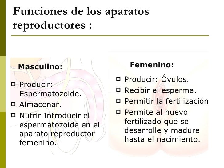 La crema para el pecho breasthill las revocaciones