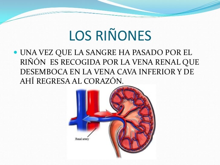 La persona se rasca de los granos