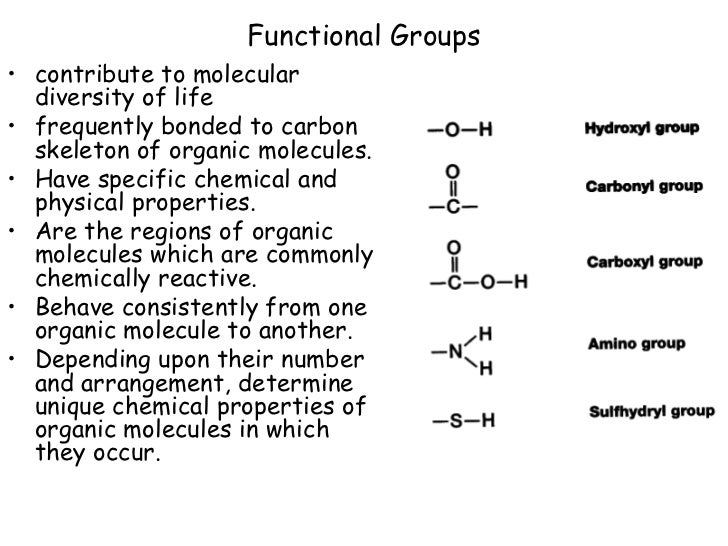 Ap Bio Ch 3 Functional Groups Macromolecules Ap Bio Ch 3 Functional Groups Macromolecules