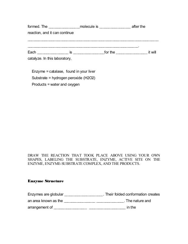 Enzyme Worksheet High School Biology enzyme worksheet biology answers worksheets for Enzyme Worksheet High School Biology enzyme worksheet biology answers worksheets for