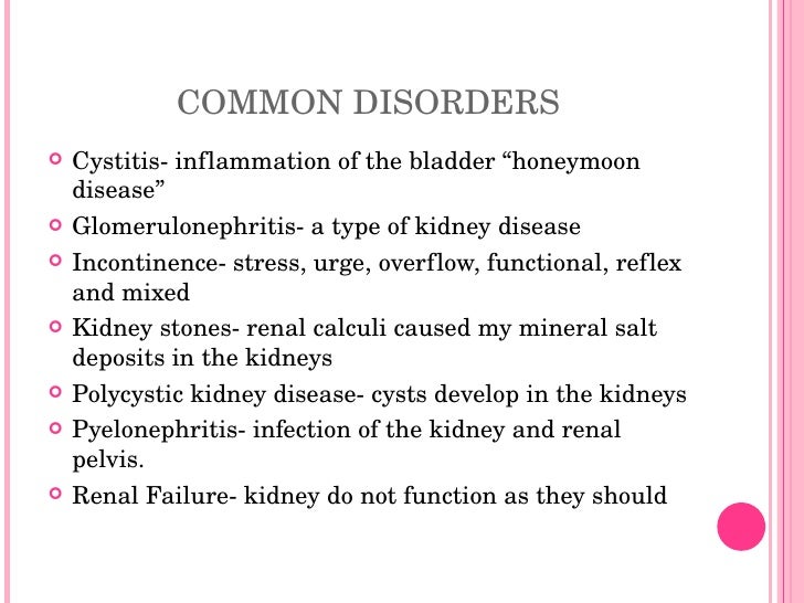 conclusion of urinary system conclusion of urinary system