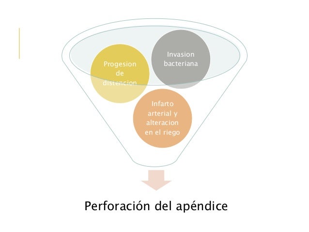 5 mes del embarazo el dolor vivo en los riñones