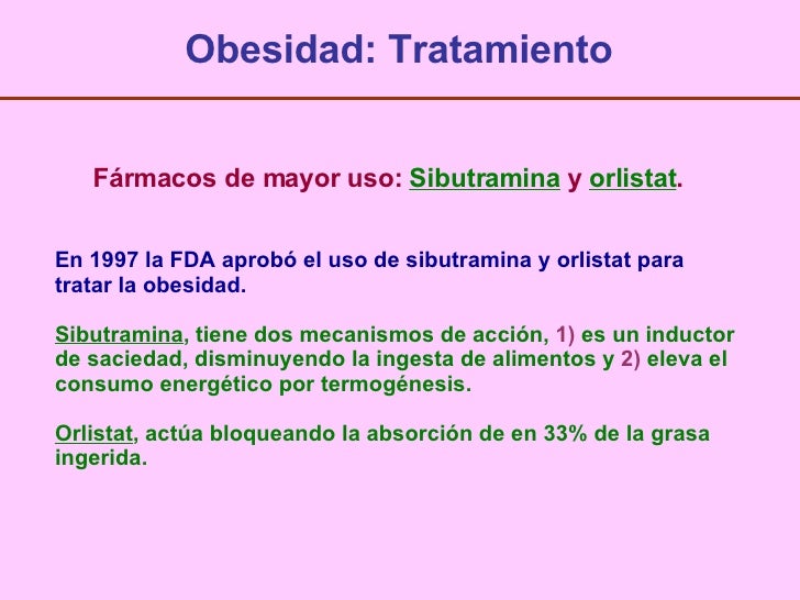 Apetito Y Obesidad Apetito Y Obesidad