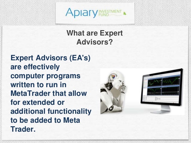 American based binary options brokers