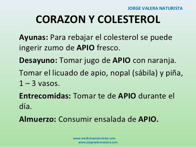 Apio usos y propiedades naturales Apio usos y propiedades naturales