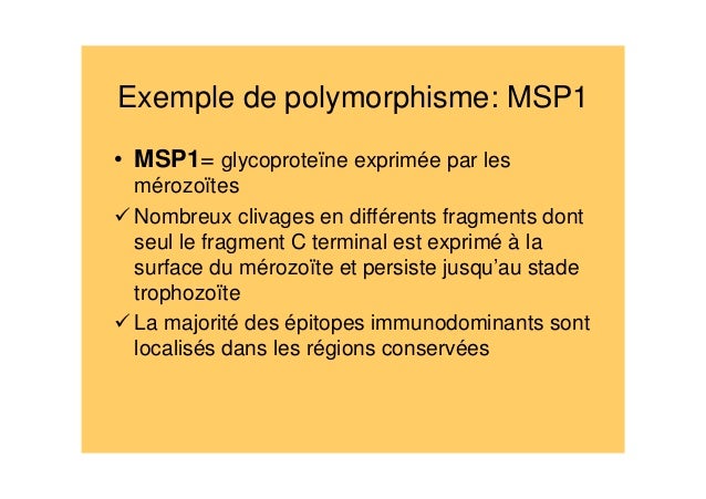 exemple de msp 1