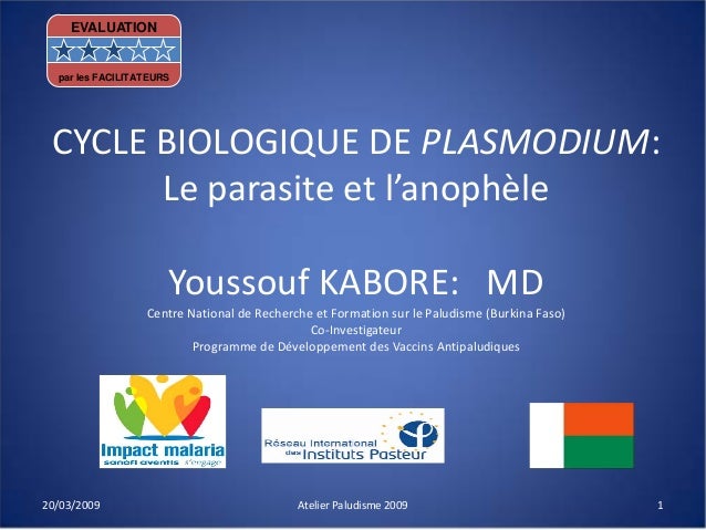 Les plantes les parasites tordant