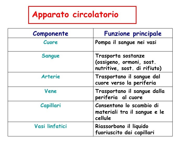 Controllare la posizione di navi di vena