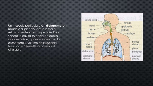 Metodi di trattamento di cura di dolore di vita