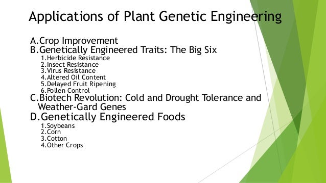 the importance of the issue of genetic engineering Without a doubt, animals will continue to play an important role in genetic engineering issue, a vast majority of not left behind in the genetic race. the importance of the issue of genetic engineering Without a doubt, animals will continue to play an important role in genetic engineering issue, a vast majority of not left behind in the genetic race.