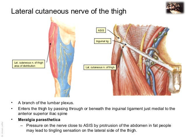clinically oriented anatomy lippincott williams wilkins pdf