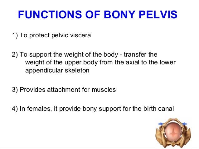 Applied anatomy of pelvis and fetal skull