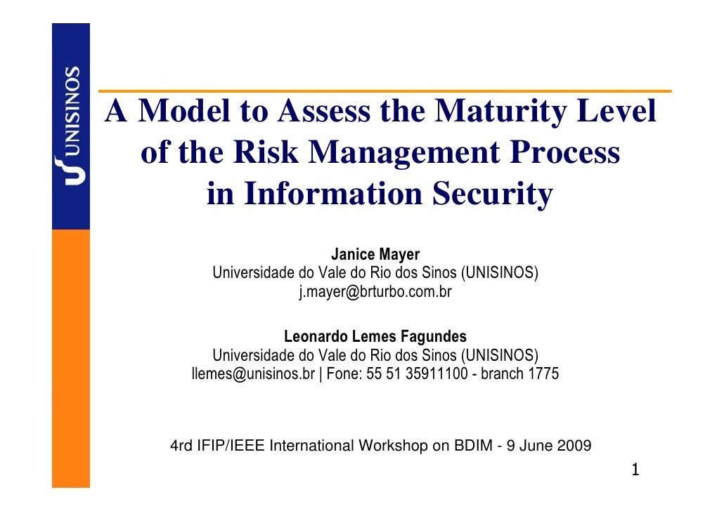 risk management maturity model pdf