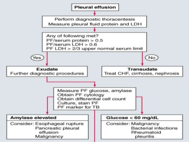 Abdominal mesothelioma most cancers reasons of malignant pericardial mesothelioma