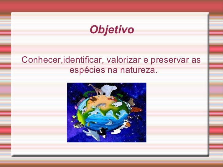 Apresentacao sobre meio ambiente