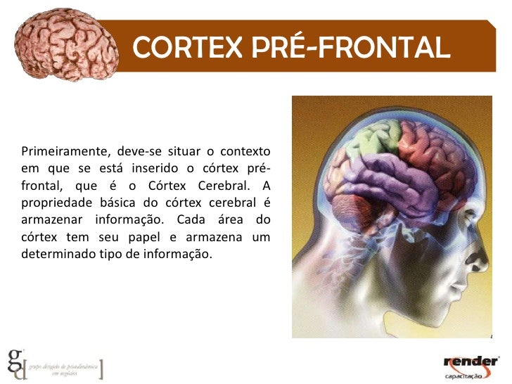 Apresentação Fisiologia