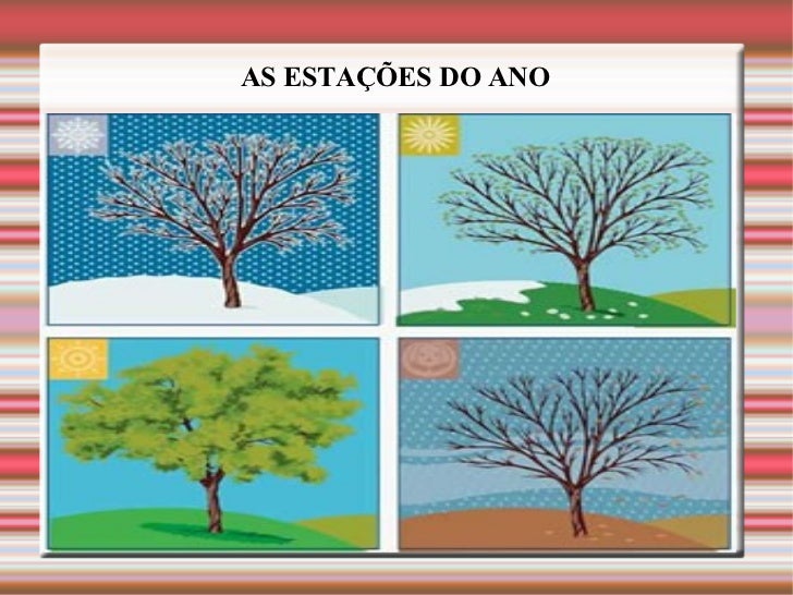 Marque A Alternativa Correta Sobre As Quatro Estações Do Ano