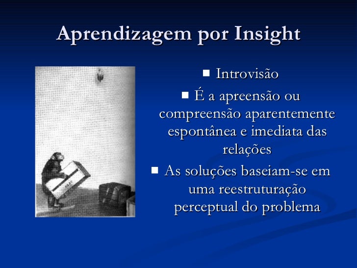Na Visão Dos Estudiosos Gestalt O Comportamento Deve Ser Estudado