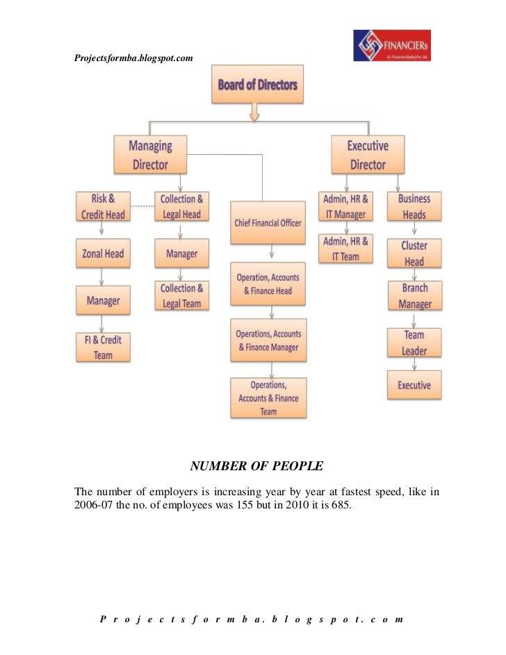 Term paper on financial ratio analysis