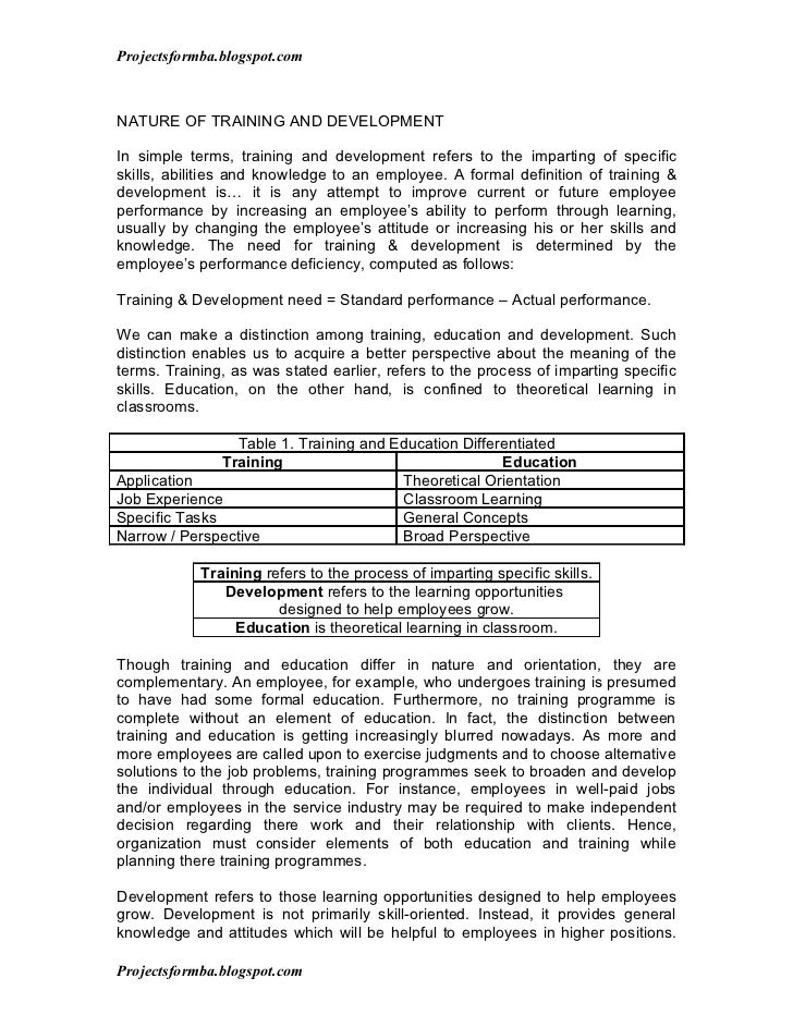 term paper in english review