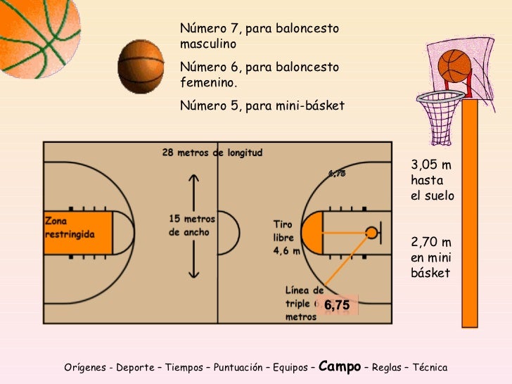 Apuntes de baloncesto primaria