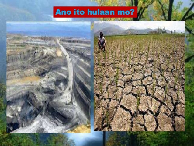 Kagubatan Sa Pilipinas