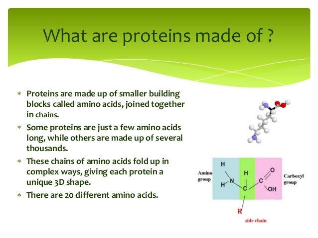 what is a made of architecture of proteins what is a made of architecture of proteins