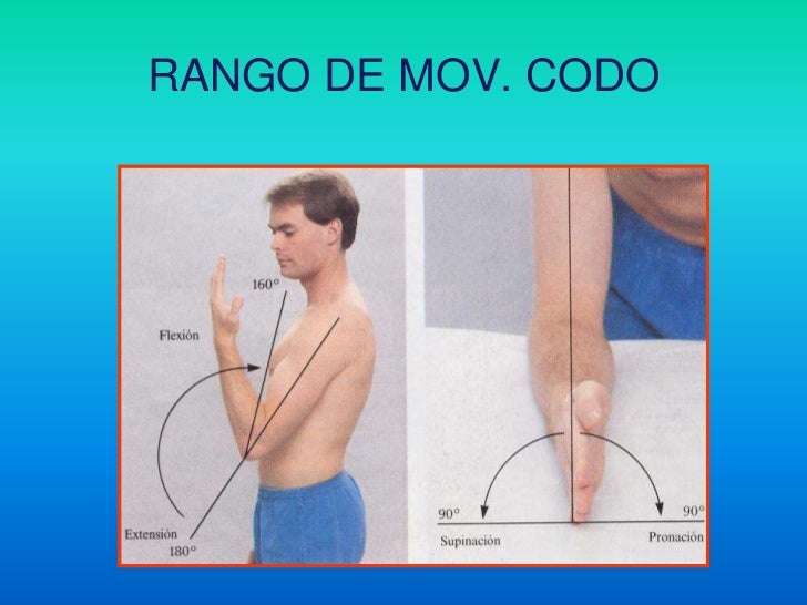 Arcos de movilidad