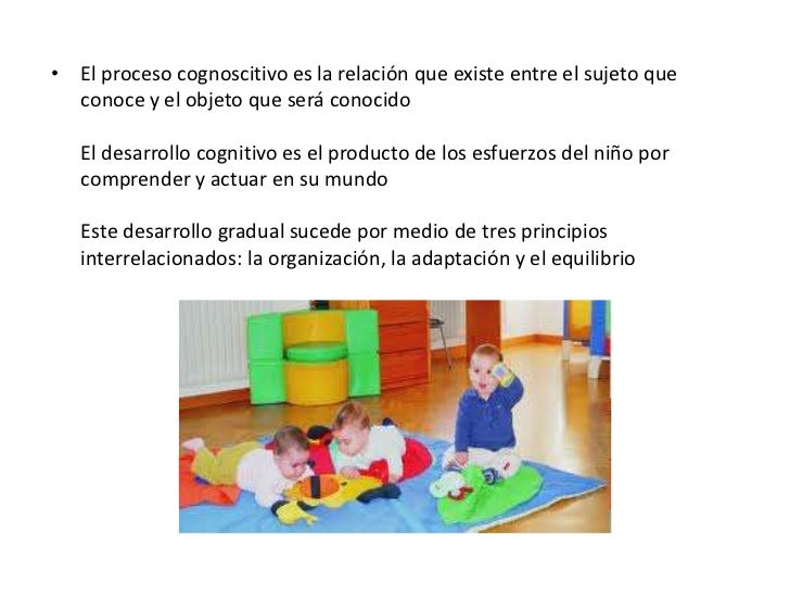Caracteristicas Del Desarrollo Cognitivo En La Primera Infancia