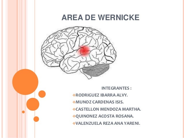 Area de wernicke