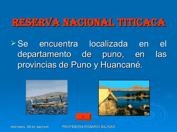 Si duele los riñones a los primeros días