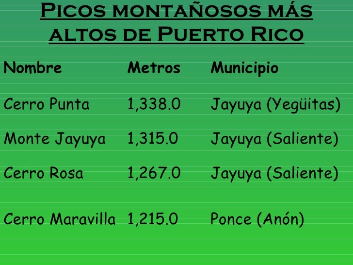 Pico Mas Alto De Puerto Rico