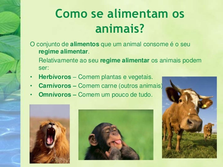 A reprodução dos animais A reprodução dos animais