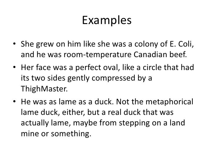 Analogy Essay Examples