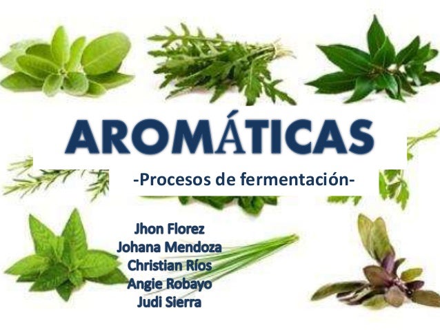 Plantas aromáticas y procesos de fermentación Plantas aromáticas y procesos de fermentación