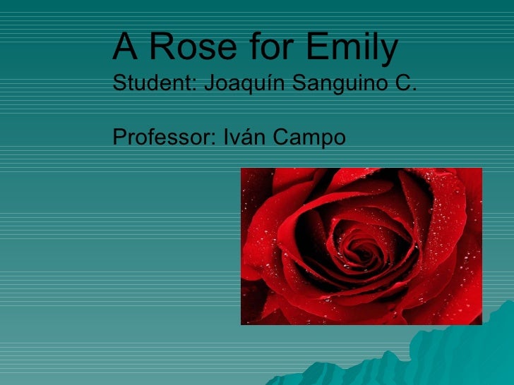 A rose for emily plot analysis essay