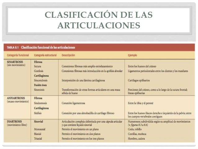 Articulaciones