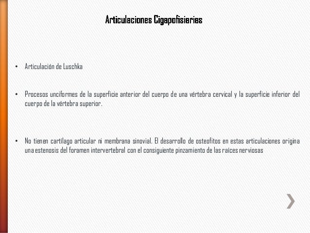 La miel al tratamiento de la osteocondrosis