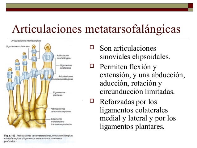 Bolyat los ovarios y los riñones la causa