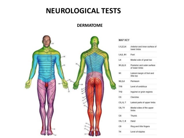 neurological tests