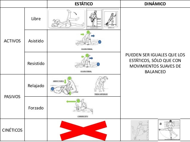 ESTÁTICODINÁMICO Libre ACTIVOS Asistido Resistido Relajado PASIVOS Forzado CINÉTICOS PUEDEN SER IGUALES QUE LOS E...