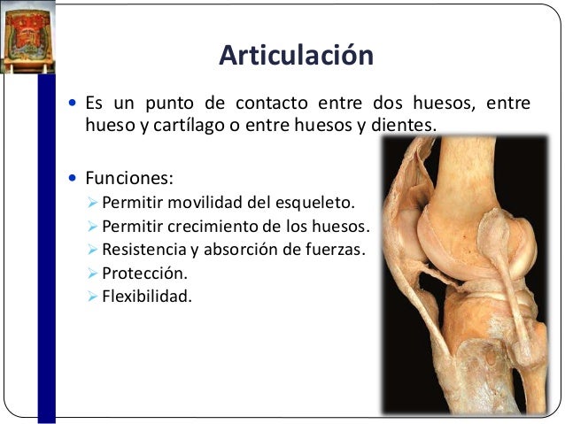 GENERALIDADES DE ARTICULACIONES