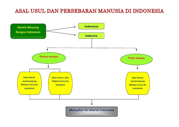 Materi Sejarah Asal Usul Nenek Moyang Bangsa Indonesia - Homecare24