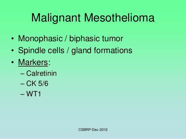 coches hibridos carros elétricos tesla preços