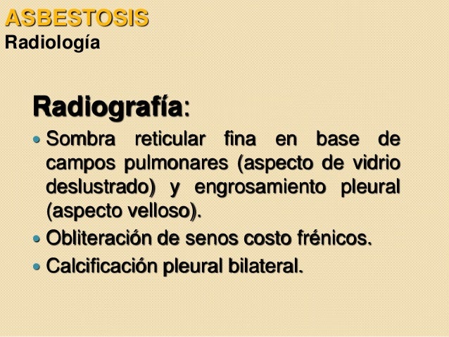 immigration lawyer in chicago