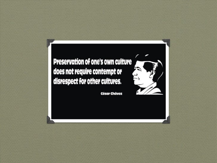Cesar Chavez, Organizer for Social Justice