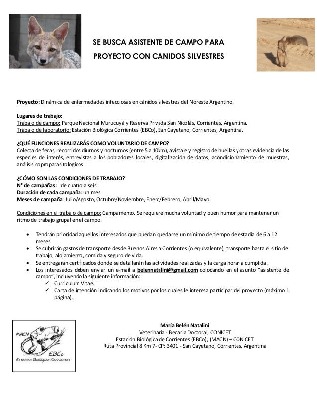 SE BUSCA ASISTENTE DE CAMPO PARA
PROYECTO CON CANIDOS SILVESTRES
Proyecto: Dinámica de enfermedades infecciosas en cánidos...