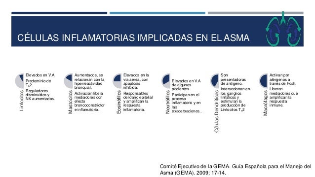 clasificacion de asma gina 2012 pdf clasificacion de asma gina 2012 pdf